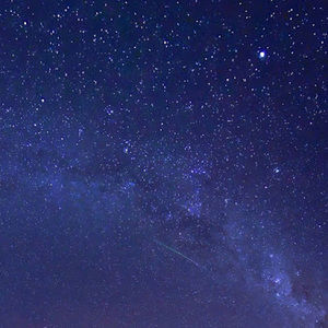 Meet your Posher, Violet